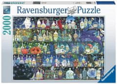 Lean-toys Puzzle 2000 Trucizny i mikstury