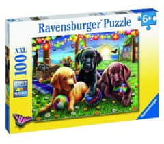 Lean-toys Puzzle 100 psov XXL