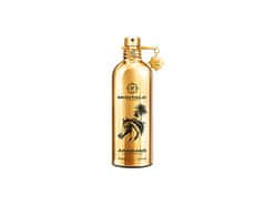 Montale Paris Arabians - EDP - TESTER 100 ml