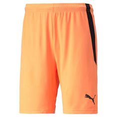 Puma Nohavice oranžová 188 - 191 cm/XL Teamliga