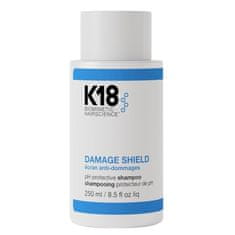 Čistiaci šampón na ochranu farby vlasov Damage Shield (pH Protective Shampoo) (Objem 250 ml)