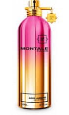 Montale Paris Aoud Jasmine - EDP 100 ml