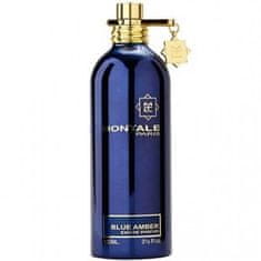 Montale Paris Blue Amber - EDP 100 ml