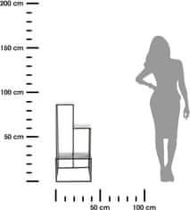 Dekorstyle Stojan na rastliny Kovu 85 cm čierny