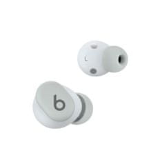 Beats by dr. Dre Beats Solo Buds/ANC/BT/Bezdrať/Storm Grey