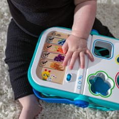 Baby Einstein Košík nákupný Magic Touch HAPE 9m+