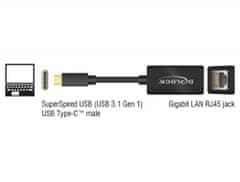 DELOCK Adaptér Super Speed USB (USB 3.1 Gen 1) s USB Type-C samec &gt; Gigabit LAN 10/100/1000 Mbps kompaktný čierny