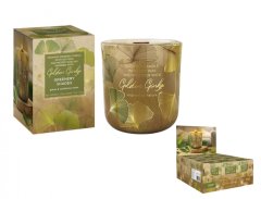 Sviečka v skle GOLDEN GINKO - GREENERY SHADES 150g