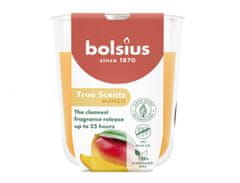 Sviečka v skle TRUE SCENTS MANGO vonná 125g d7x8cm