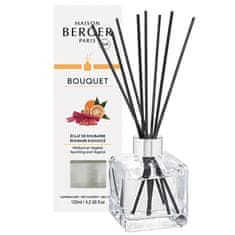 Aróma difuzér Cube Žiarivá rebarbora Rhubarb Radiance 125 ml