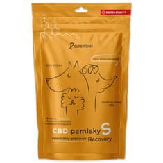 Pochúťka CBD Recovery S 100g