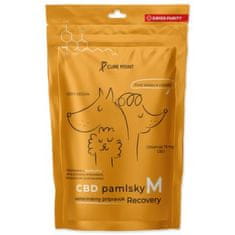 Pochúťka CBD Recovery M 100g