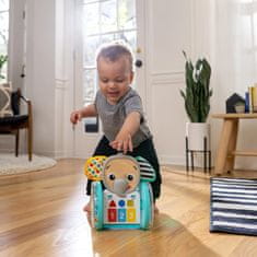 Baby Einstein Hračka hudobná interaktívna Chase & Tap Earl 6m+