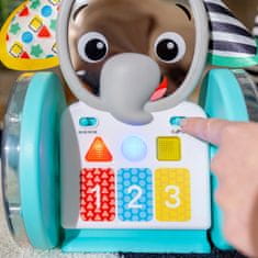 Baby Einstein Hračka hudobná interaktívna Chase & Tap Earl 6m+