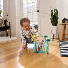 Baby Einstein Hračka hudobná interaktívna Chase & Tap Earl 6m+