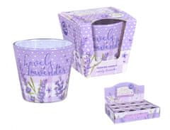 Sviečka v skle LOVELY LAVENDER vonná 115g