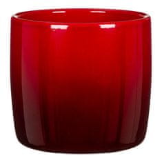 Obal 900 Nobel Red 18 /VIANOCE 2024/ - 3 ks