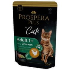 Vrecko Prospera Plus Adult 1+, Chicken, Beans 85g