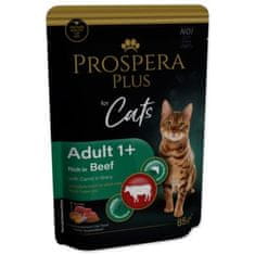 Vrecko Prospera Plus Adult 1+, Beef, Carrot 85g