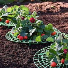 Strawberry Stand 30 stojan na jahody balenie 1 ks