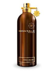 Montale Paris Aoud Musk - EDP 100 ml