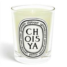 Choisya - sviečka 190 g