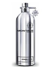 Montale Paris Jasmin Full - EDP - TESTER 100 ml