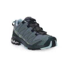 Salomon Obuv beh 39 1/3 EU XA Pro 3 D W V8 Gtx Urban Kentucky