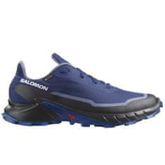 Salomon Obuv beh 44 EU Alphacross 5 Gore-tex