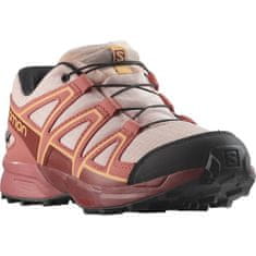 Salomon Obuv beh 38 EU Speedcross Cswp