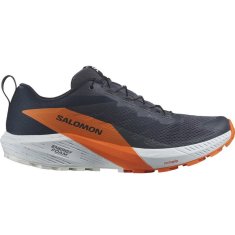 Salomon Obuv beh tmavomodrá 42 EU Sense Ride 5 Gtx Gore-tex