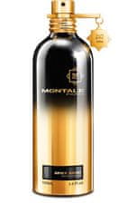 Montale Paris Spicy Aoud - EDP 100 ml