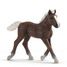 Hollywood Figúrka žriebätko schwarzwaldské - Schleich - 9,5 cm