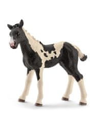 Hollywood Figúrka žriebätko Pinto (fľakaté) - Schleich - 9 cm