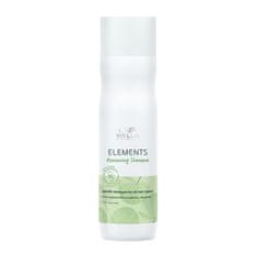 shumee Elements Renewing Shampoo regeneračný šampón na vlasy 250ml