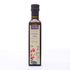 Green Idea Bylinný sirup Svätý František Acerola + šípky 250 ml