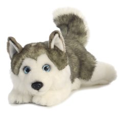 Aurora Plyšový Husky ležiaci - Miyoni - 28 cm