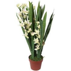 shumee Realistická umelá orchidea v plastovom kvetináči, biela, 75 cm