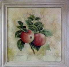 shumee Obrázok zo série Fruit Twigs - Jablká, Efekt starnutia 41x41cm