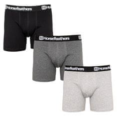 Horsefeathers 3PACK pánske boxerky viacfarebné (AM067D) - veľkosť L