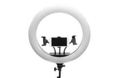 RIO PROFESSIONAL MAKEUP & VLOGGING 18-INCH DIMMABLE LED RING LIGHT