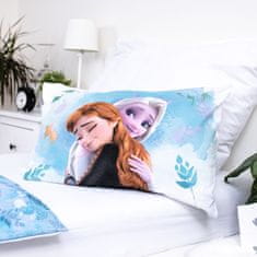 Jerry Fabrics Disney obliečky do postieľky Frozen Blue 03 baby 100x135, 40x60 cm