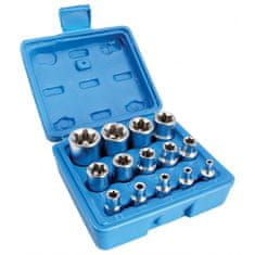 ASTA Nástrčné kľúče, E-Torx, E4 - E24, 1/4", 3/8'', 1/2'', 14 ks - S-P14ES