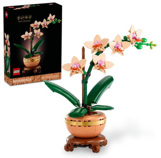 LEGO Botanicals 10343 Miniatúrna orchidea