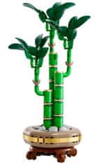 LEGO Botanicals 10344 Bambus šťastia