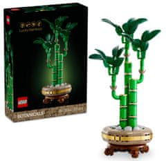 LEGO Botanicals 10344 Bambus šťastia