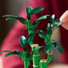 LEGO Botanicals 10344 Bambus šťastia