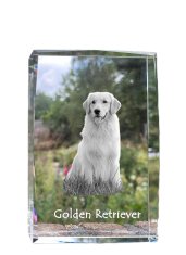 Artdog Zlatý retriever - krištáľ s fotkou psíka, foto v skle, moderná výstava fotografií od Art-Dog