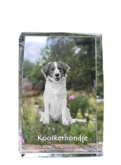 Artdog Kooikerhondje - krištáľ s fotkou psa, foto v skle, moderná výstava fotiek od Art-Dog