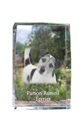 Artdog Parson Russell Terrier - krištáľ s fotkou psa, foto v skle, moderná výstava fotiek od Art-Dog